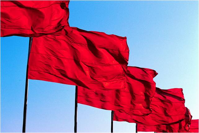 Estate Planning Red Flag:  You Haven’t Planned for Incapacity